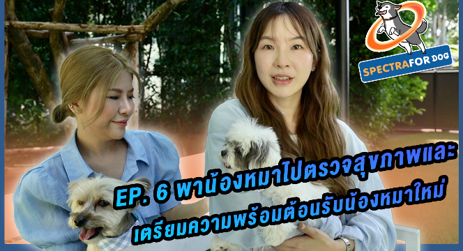 แชร์เคล็ด(ไม่)ลับ-เตรียมความพร้อมต้อนรับน้องหมาใหม่-โฮ่งทัวร์-ep-6